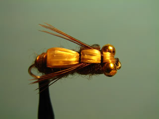 Brown Whitlocks Dragonfly (8)